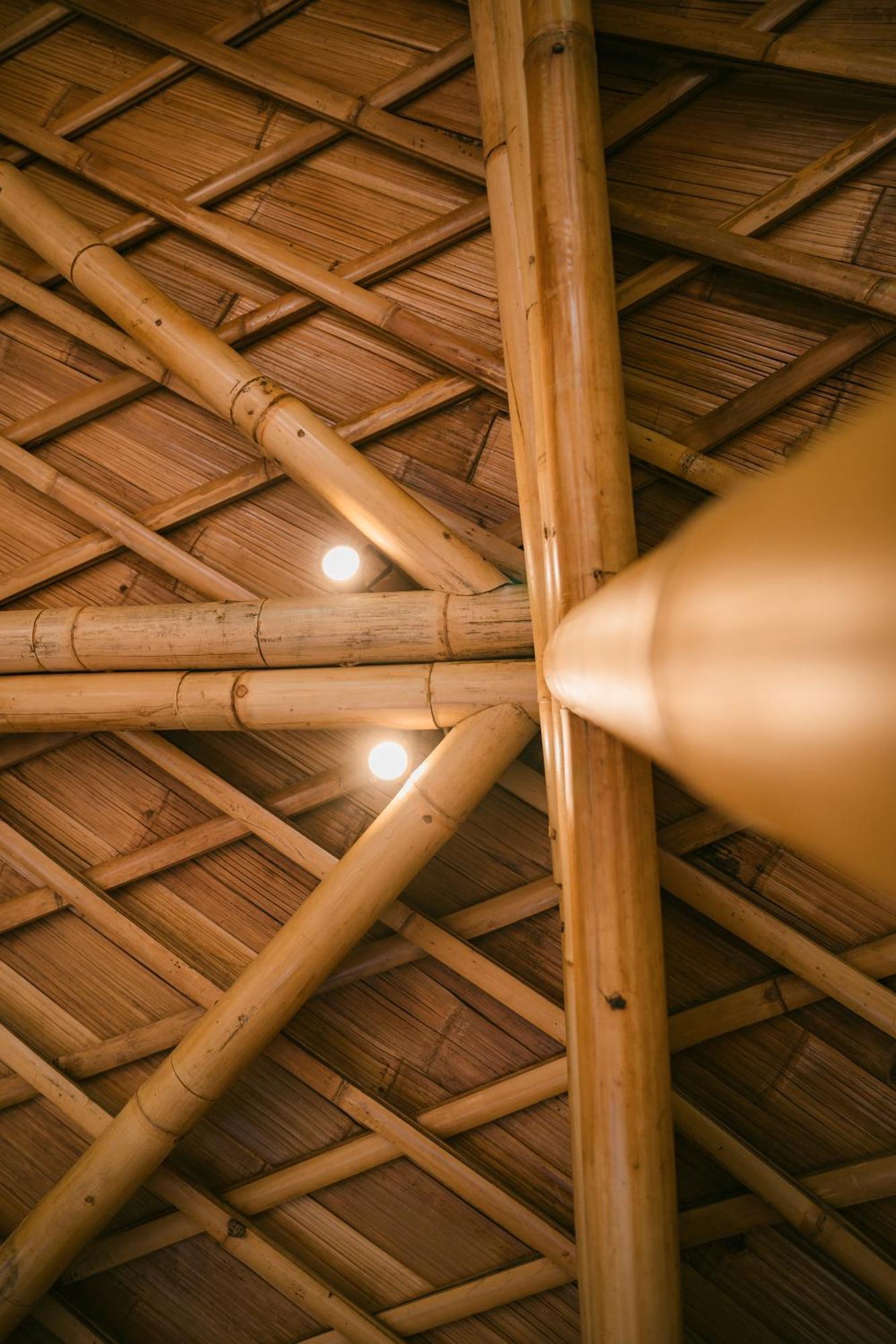 Alamvaya Bali Bamboo House Villa Сидемен Екстериор снимка